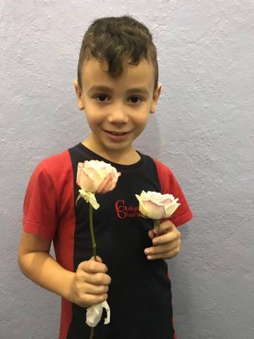 Experiência das Rosas - 2º Ano